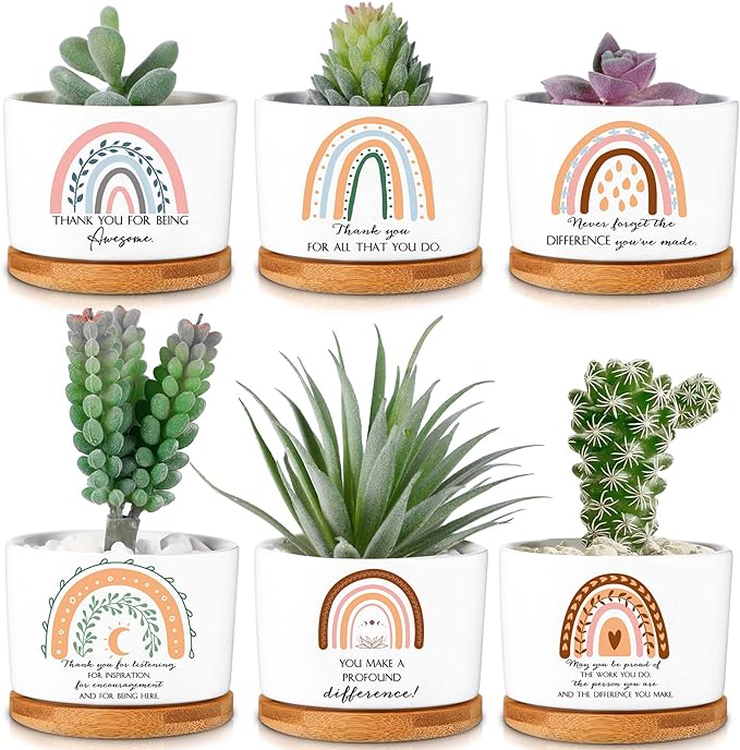 Sieral 6 Pcs Thank You Gift Appreciation Gift Succulent Pots Mini Ceramic Plant Pot with Bamboo Tray Succulent Planter for Coworker Employee Teacher School Counselor, Plants Excluded(Boho Style)