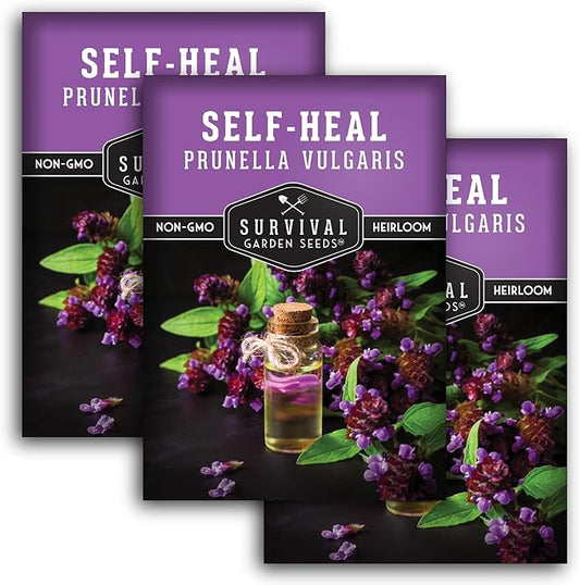 Survival Garden Seeds Selfheal Seed for Planting - 3 Packs with Instructions to Plant & Grow All-Heal Perennial Herb Plants in Your Home Flower & Herb Garden - Non-GMO Heirloom Variety