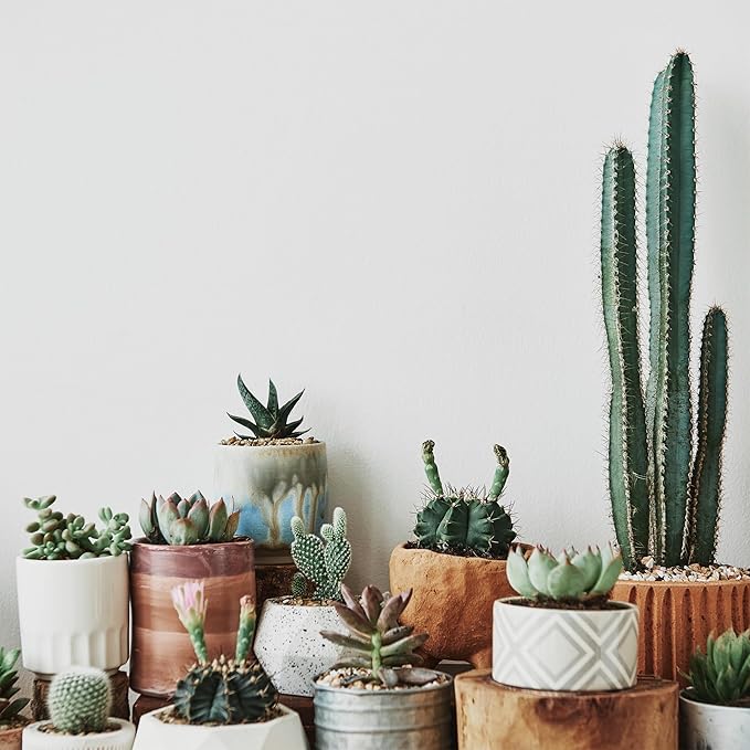 Pure Original Ingredients Potting & Garden Sand (2 lb) Add to Planters & Soil Patches, Helps Retain Moisture