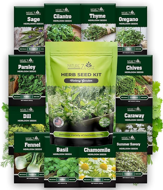 NatureZ Edge 12 Herb Seeds Variety Pack, 6000+ Heirloom Seeds for Planting Hydroponic Indoor or Outdoor Home Garden Plant Seed, Parsley, Cilantro, Basil, Thyme, Chamomile, Oregano, Dill & More NonGMO