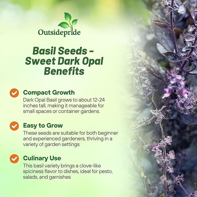 Outsidepride Dark Opal Basil Seeds – 1000 Pieces Annual Purple Basil Herb Seeds, Non-GMO, Ideal for Indoor & Outdoor Gardens, Aromatic Herb Borders for Fresh Flavor & Fragrant Foliage (AAS Winner)