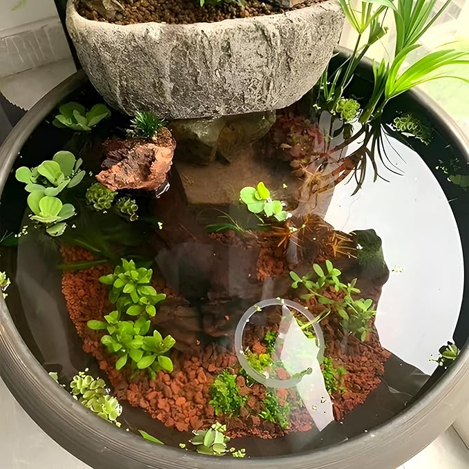 45Lb Horticultural Lava Rock-Lava Rocks for Plants,Succulent Soil Amendment,Decorative Cactus Soil Potting Mix,Volcanic Rock for Aquarium Fairy Gardening Top Dressing Plant Drainage