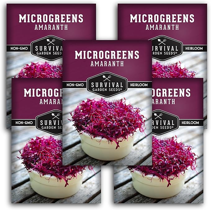5 Packs Amaranth Microgreens Seeds for Planting and Growing - Plant Green Leafy Micro Vegetable Plants Indoors - Grow A Mini Windowsill Garden - Non-GMO Heirloom - Survival Garden Seeds