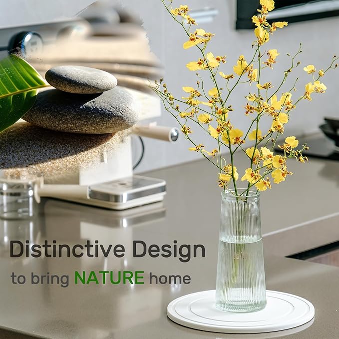 Diatomaceous Earth Plant Saucer for Indoor, 2 Pack 6 inch, Instant Dry Pot Saucer, Plant Drip & Drainage Tray for Indoor, Off White