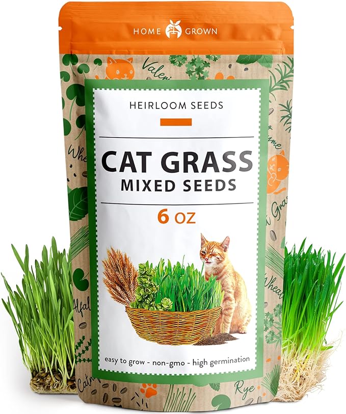 HOME GROWN Cat Grass Seeds (6oz) - Barley & Oat Seeds Mix - Keep Pets Healthy with Cat Grass for Indoor Cats - Cat Grass Seeds Bulk - Refill Cat Grass Growing Kit-100% Non-GMO, Heirloom Cat Grass Seed