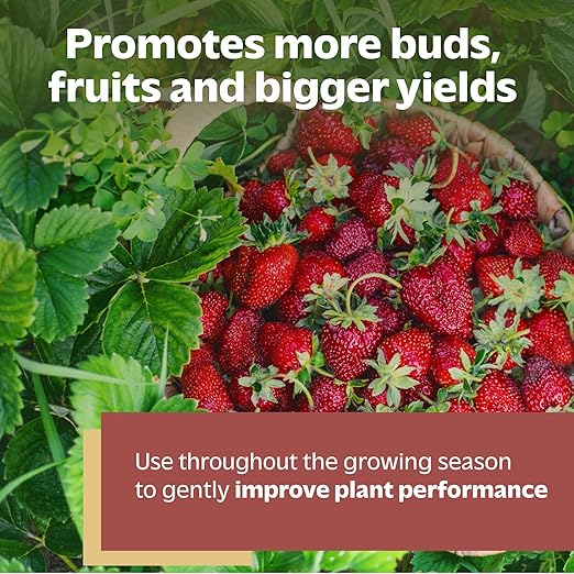 Organic Fruit & Flower Fertilizer - 2lbs - Natural Indoor & Outdoor Plant Food for Strong Healthy Plants and Soil