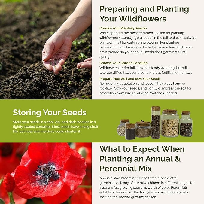 Eden Brothers Flowery Fields Forever Flower Mixed Seeds for Planting, 1 lb, 480,000+ Seeds with Cornflower, Candytuft | Attracts Pollinators, Plant in Spring or Fall, Zones 3, 4, 5, 6, 7, 8, 9, 10