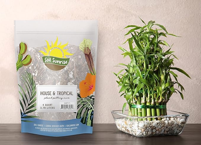 Tropical House Plant Potting Mix (4 Quarts); for All Types of Indoor House Plants