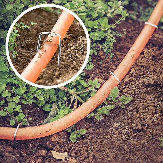 Landscape Staples Zevlux Garden Staples 6 Inch 100Pcs Galvanized Heavy-Duty Sod Pins Anti-Rust Fence Stakes for Weed Barrier Fabric, Ground Cover, Irrigation Tubing, 11 Gauge, 100 Pcs