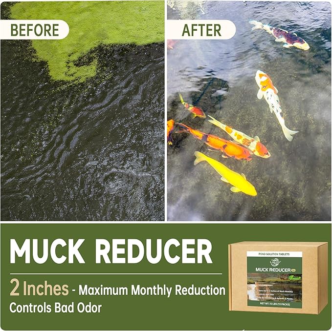 Muck Reducer - 15LB Natural Sludge Solution Tablets for Ponds & Lakes, Away Muck & Odor Control, Safe for Aquatic Life, Wildlife & Recreation, Treats Up to 90,000 Sq Ft