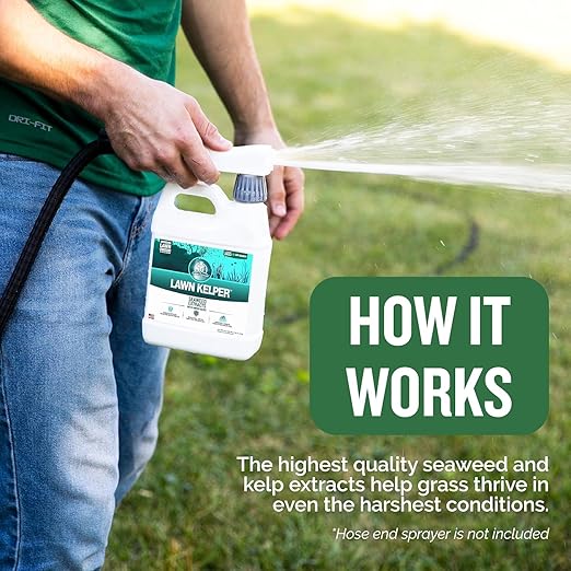 Turf Titan Lawn Kelper - Seaweed Fertilizer for Plants and Lawns - Liquid Lawn Fertilizer Feeds and Protects - Liquid Seaweed Fertilizer for Nutrient Absorption - 2.5 Gallon