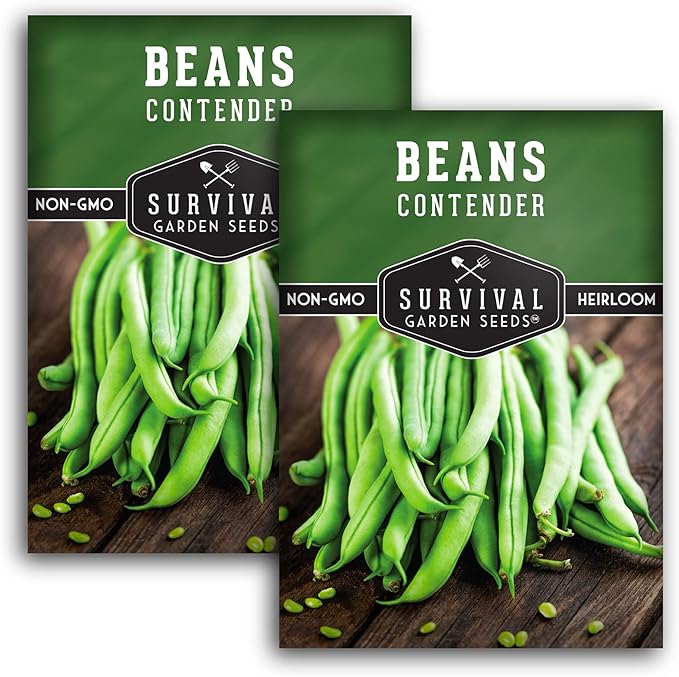 2 Packs Contender Bush Bean Seed for Planting with Instructions to Grow Delicious & Stringless Green Beans in Your Home Vegetable Garden - Non-GMO Heirloom - Survival Garden Seeds
