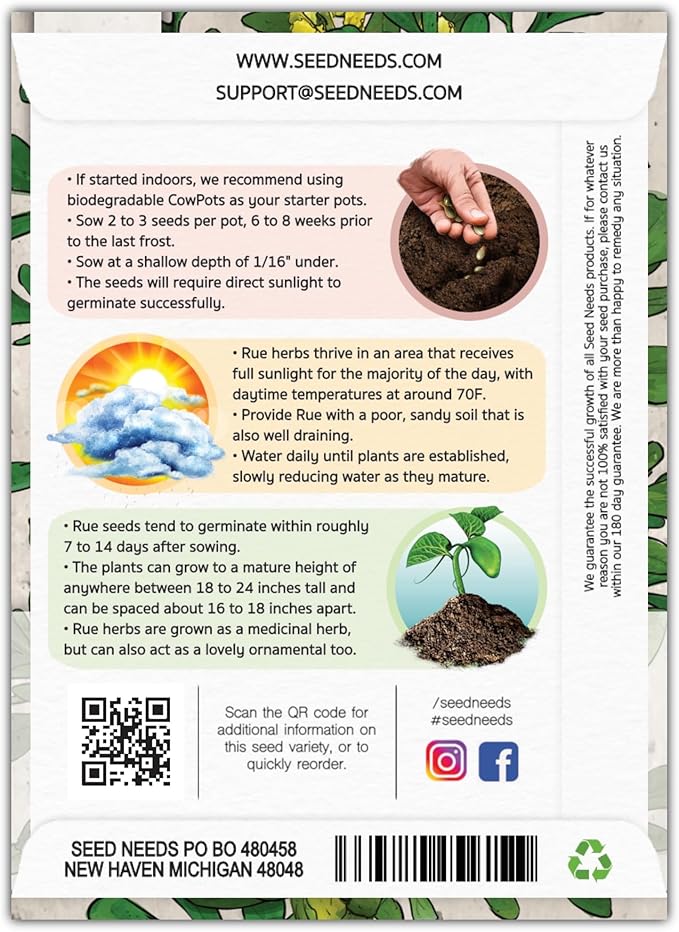 Seed Needs Rue Seeds for Planting - Non-GMO, Heirloom & Untreated Perennial Herbs - Organically Grow a Home Grown Medicinal Herb Garden Indoors or Outdoors (2 Packs)