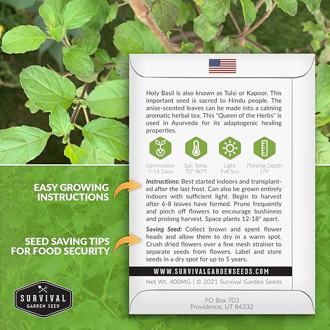 Survival Garden Seeds - Holy Basil Seed for Planting - 5 Packs with Instructions to Plant and Grow The Indian Sacred Herb Tulsi in Your Home Vegetable Garden - Non-GMO Heirloom Variety - Plant Seed