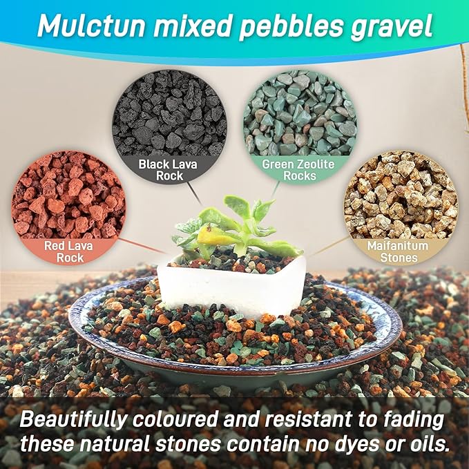 2.4Lb Horticultural Lava Rock-1/5inch Lava Rocks for Plants,Succulent Soil Amendment,Decorative Cactus Soil Potting Mix,Volcanic Rock for Aquarium Fairy Gardening Top Dressing Plant Drainage