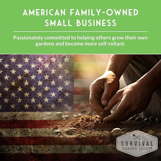 Survival Garden Seeds - Spotted Bee Balm Seed for Planting - 3 Packs with Instructions to Plant & Grow Monarda Punctata Your Home Herb Garden - Dotted Mint Wildflower Non-GMO Heirloom Variety