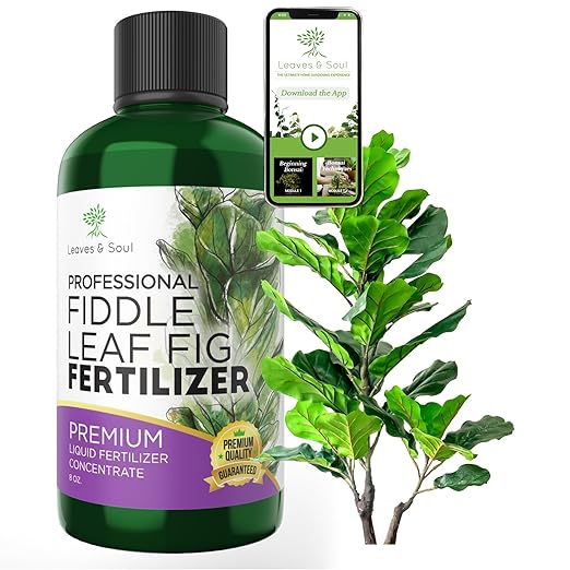 Professional Liquid Fiddle Leaf Fig Plant Fertilizer | 3-1-2 Concentrate for House Plants | Multi-Purpose Blend & Gardening Supplies | 8 oz Bottle