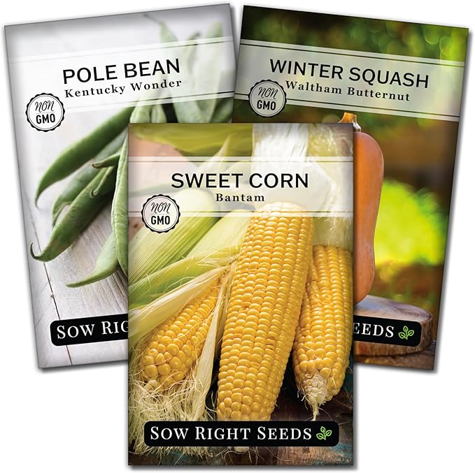 Sow Right Seeds - 3 Sisters Seed Collection for Planting - Packets of Bantam Sweet Corn, Kentucky Wonder Pole Bean, and Waltham Butternut Squash - Non-GMO Heirloom Seeds to Plant Home Vegetable Garden