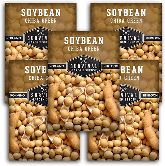 Survival Garden Seeds - Chiba Green Soybean Seed for Planting - 5 Packs with Instructions to Plant and Grow Protein-Rich Edamame Pods in Your Home Vegetable Garden - Non-GMO Heirloom Variety