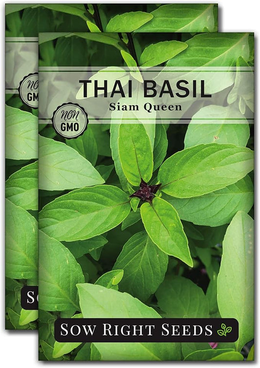 Sow Right Seeds - Sweet Large Leaf Thai Basil Seed for Planting - Non-GMO Heirloom Packet with Instructions to Plant a Kitchen Herb Garden - Indoors or Outdoor - Great for Hydroponic Growing (2)