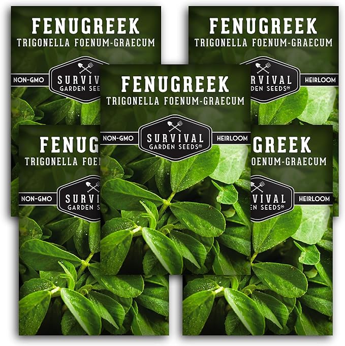 5 Packs Fenugreek Seed for Planting with Instructions to Grow Samudra Methi in Your Home Vegetable Garden - Non-GMO Heirloom - Good Microgreens or Sprouts - Survival Garden Seeds