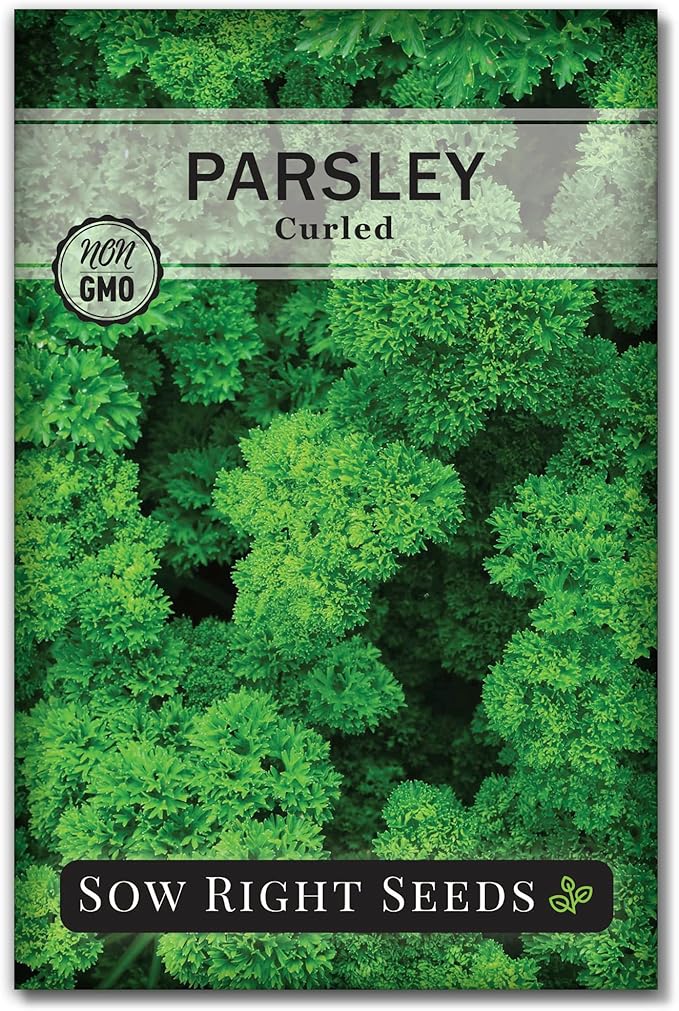 Sow Right Seeds - Curly Leaf Parsley Seed for Planting - Non-GMO Heirloom Packet with Instructions to Plant and Grow a Kitchen Herb Garden - Indoor or Outdoor - Great for Hydroponics Growing (1)