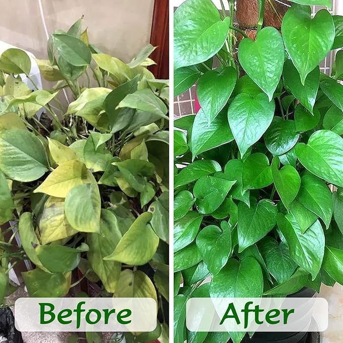 ZeeDix 2 Pcs Premium Coconut Coir Compressed 100% Organic Coco Coir Brick with Low EC and pH Balance for Plants Gardening Herbs