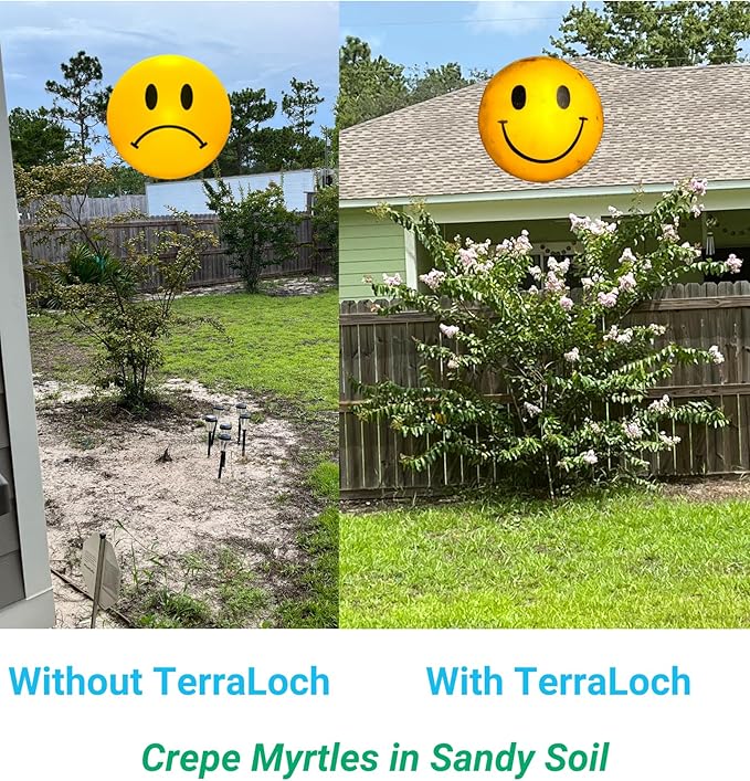 TerraLoch Cellulose-Based Hydrogel | Natural Water Storing Crystals for Soil | Helps Water-Loving Plants Thrive | Effective in High Heat | Reduces Transplant Shock | Mitigates Over/Under Watering