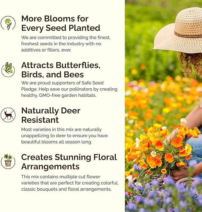 Eden Brothers Rugged Beauty Flower Mixed Seeds for Planting, 5 lb, 2,400,000+ Seeds with Cornflower Tall Blue, Candytuft | Attracts Pollinators, Plant in Spring or Fall, Zones 3, 4, 5, 6, 7, 8, 9, 10