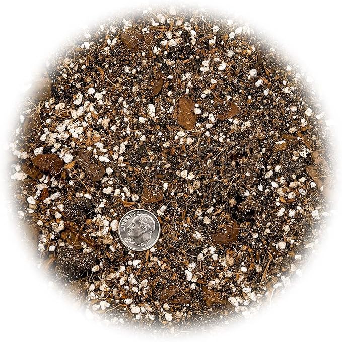 Premium Aroid Potting Mix - 2 Quart - Soil Free Blend for Aroids - Growing Medium for House Plant