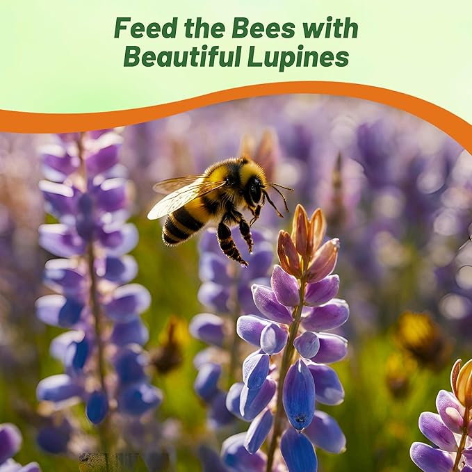 Outsidepride 5 lb. Perennial Blue Lupine Flower Seeds for Planting