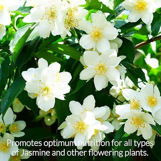 Professional Liquid Jasmine Fertilizer | 3-1-2 Concentrate for Plants and Flowers | Multi-Purpose Blend & Gardening Supplies | 8 oz Bottle (Jasmine)