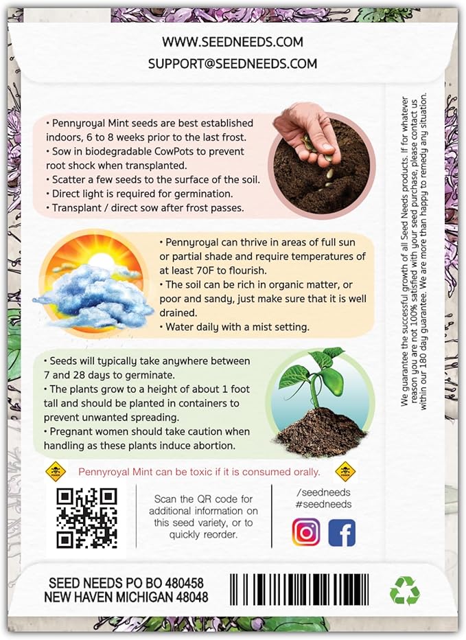 Seed Needs, Pennyroyal Mint Seeds - 1,000 Heirloom Seeds for Planting Mentha pulegium - Medicinal Herb Non-GMO & Untreated for Indoor/Outdoor Gardens (5 Packs)