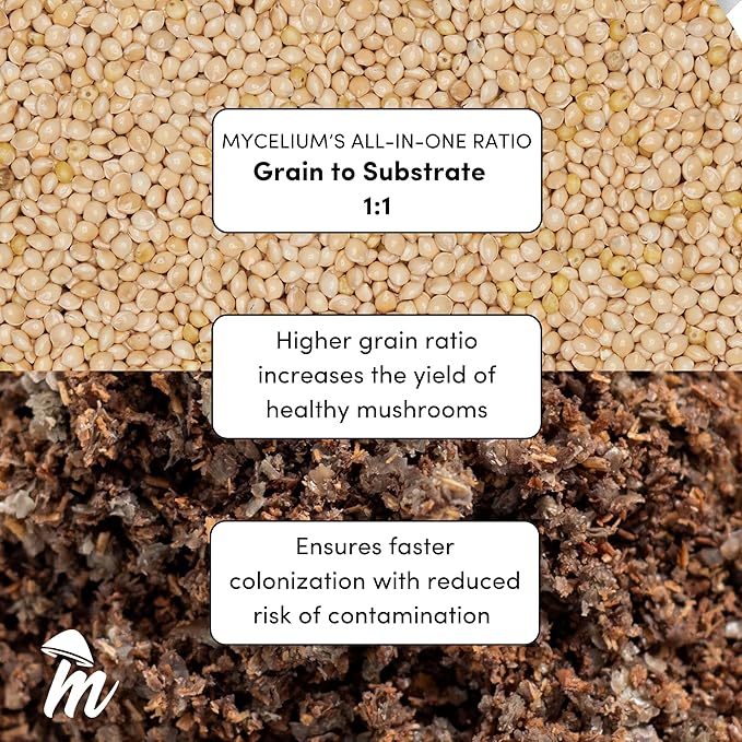 Mycelium’s Shiitake Gourmet Mushroom Kit | 8LBS Oak & Soy Hull with Millet Blend | 20ML Liquid Culture Syringe | All-in-One Complete Cultivation Kit | Pre-Sterilized - Home Growing Made Easy