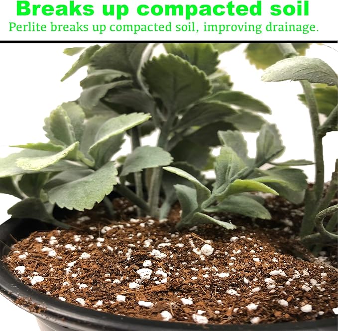 Viagrow VPER4-2 4 cu. ft. Perlite (2 Pack), 2-Pack, White