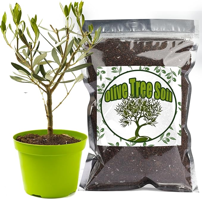 Premium Olive Tree Potting Mix 2qt, Uesed for The Propagation of Olive Trees by Cuttings or Seeds, Suitable for Planting, Repotting, and Growing Houseplant