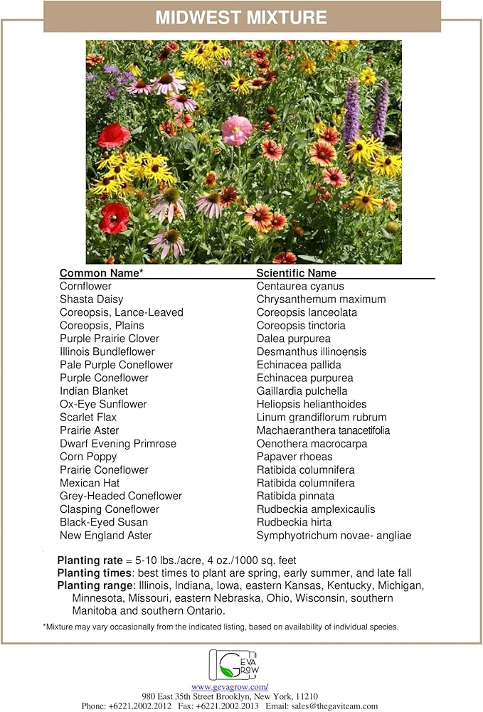 Midwest Wildflower Seeds Regional Mix - Organic, Non-GMO - 100% Pure Seed - 21 Different Wildflowers Seeds of Annual and Perennial, 1 LB Tub