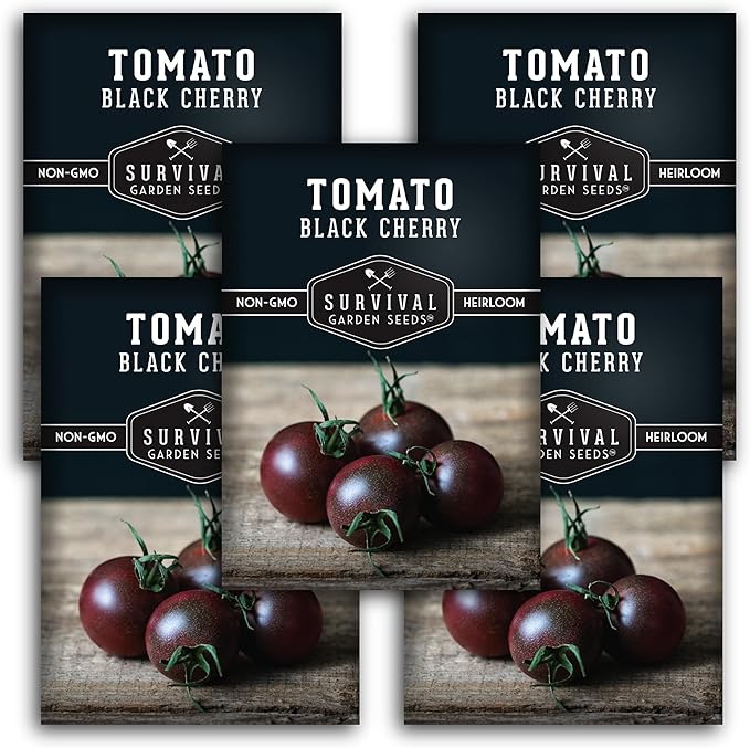 Black Cherry Tomato Seed for Planting - 5 Packets with Instructions to Plant & Grow Reddish-Purple Cherry Tomatoes in Your Home Vegetable Garden - Non-GMO Heirloom Variety - Survival Garden Seeds