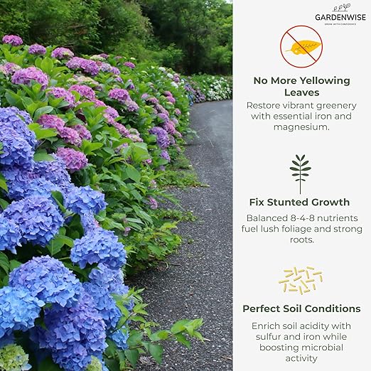 Slow Release Hydrangea Fertilizer with Iron & Sulfur – Indoor & Outdoor Soil Acidifier for Miracle Growth (1/2 qt)