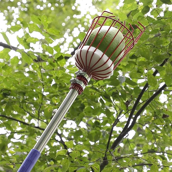 Fruit Picker Tool, a 8 FT Long Fruit Picker Equipped with Optional Splicing of Lightweight Stainless Steel to Pick Apples, Oranges and Fruit Trees
