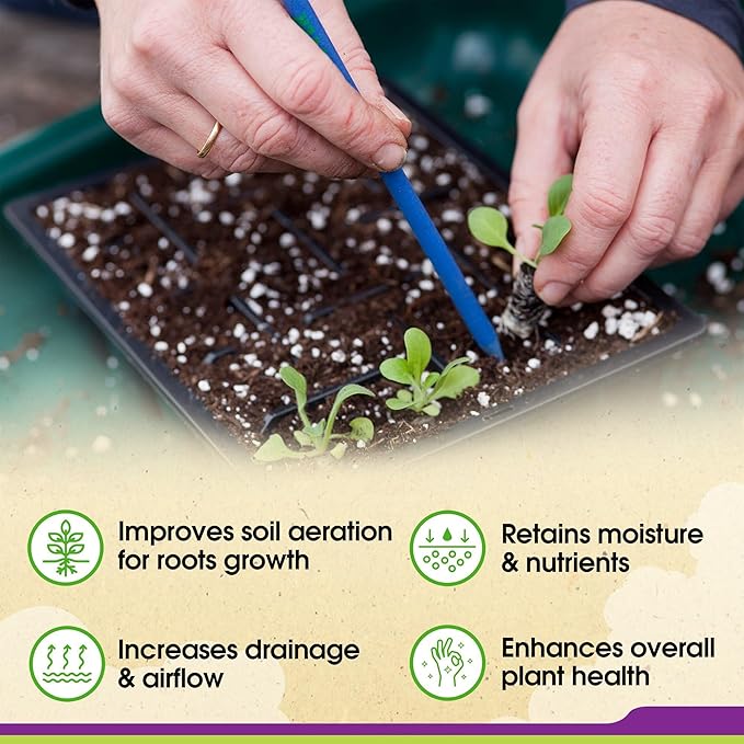 DUSPRO RECYCLE 8QT Natural Perlite for Gardening, Enhances Soil Drainage and Aeration, Lightweight and Porous, Perfect Perlite for Plants Indoor & Outdoor, Ideal sizes for Plant Lovers