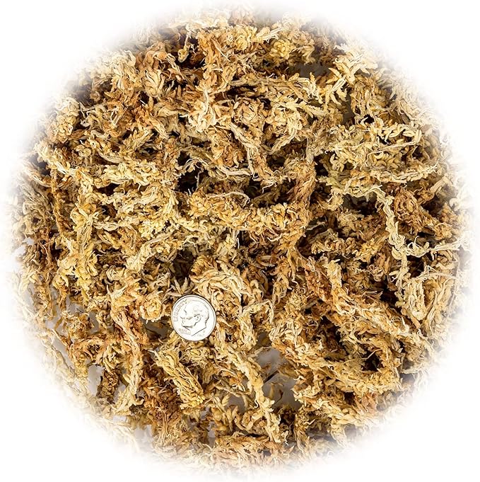 Premium New Zealand Sphagnum Moss by Gardenera - Organic Hand Mixed Long Fibered Sphagnum Moss Orchid - 5 Quart