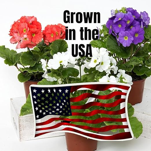 Professional Liquid Jasmine Fertilizer | 3-1-2 Concentrate for Plants and Flowers | Multi-Purpose Blend & Gardening Supplies | 8 oz Bottle (Jasmine)