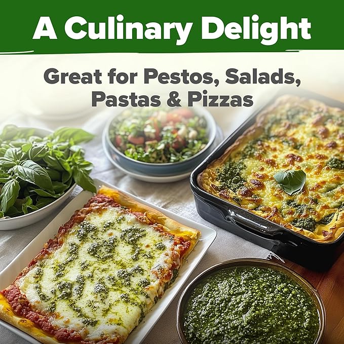 HOME GROWN Italian Basil Seeds (Bulk Pack), 1424 Sweet Large Leaf Basil Seeds for Planting, Non-GMO and Heirloom Herb Seeds for Planting Indoors or Outdoors (Ocimum basilicum)