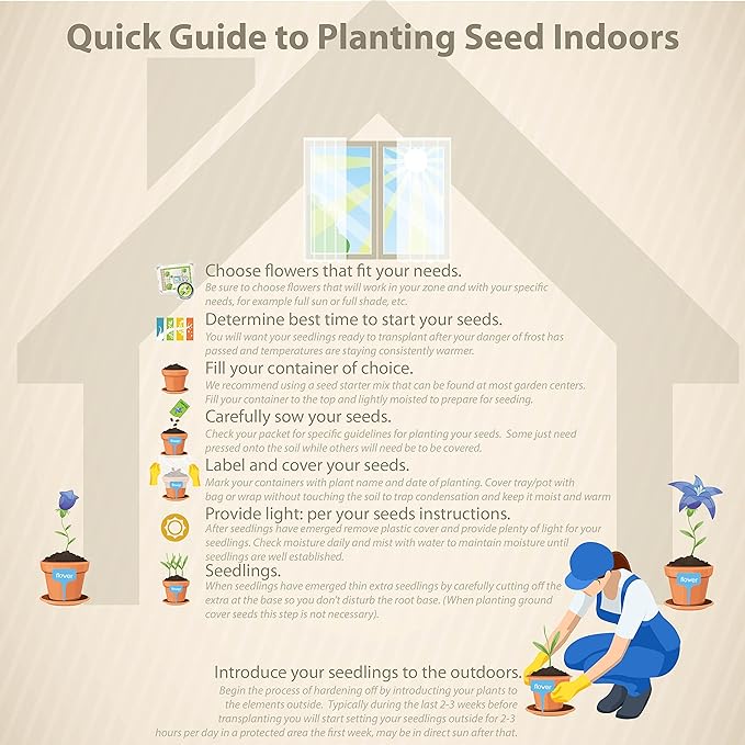 Outsidepride 50000 Seeds Perennial Roman Chamomile Herb Garden Seed for Planting