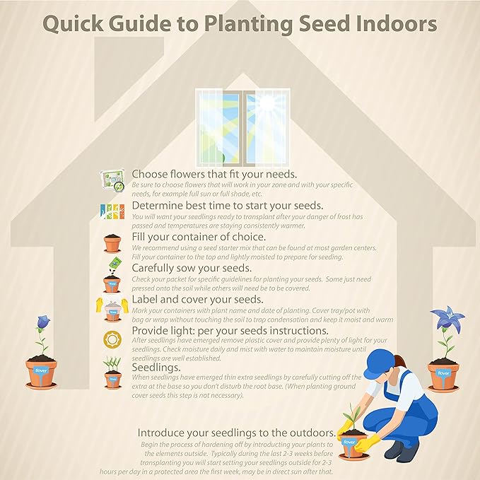 Outsidepride 200 Seeds Annual Nasturtium Mahogany Black Velvet Cimbing Vine Flower Seeds for Planting