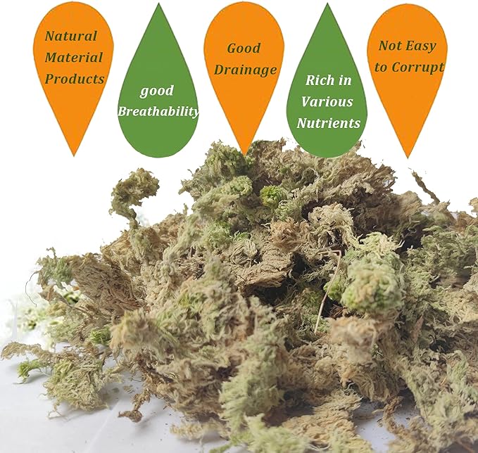 Sphagnum Moss for Plant Long Fiber Dried Forest Moss for Orchid Moss Potting Mix Natural Plant Moss for Carnivorous Plants Succulent Reptile (2.6)