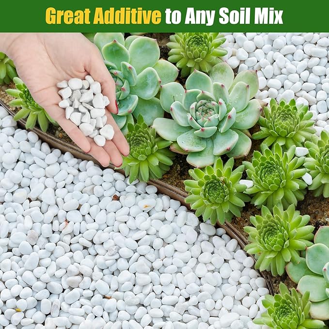 Organic Chunky Perlite for Plants (0.4"-0.8" in Diameter), Natural Horticultural Soil Additive Conditioner Mix, Improve Drainage and Ventilation, Enhance Soil Health and Root Growth (4 Quarts)