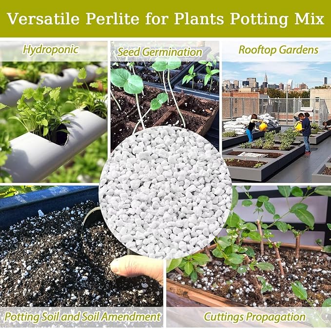 Riare 15 Quarts Organic Perlite for Plants - Horticultural Perlite Soil Amendment for Plants Potting Mix, Natural Chunky Perlite Soil Additive Conditioner Improve Root Growth, Drainage and Ventilation