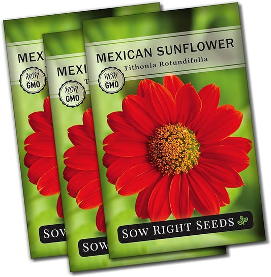 Sow Right Seeds - Mexican Sunflower Seeds for Planting - Non-GMO Heirloom Packet with Instructions for Growing - Bright Orange Blooms, Super Tall Stalks - Enjoys Outdoors or Indoors as Cut Flower (3)